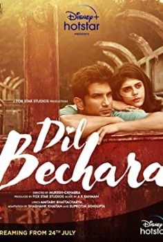 Dil Bechara 2020 izle