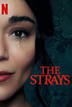 The Strays – Başıboş 2023 izle